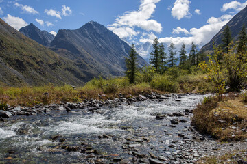 Fototapeta na wymiar Mountain stream against the backdrop of Belukha Mountain in the Altai Republic.
