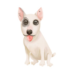 Watercolor illustration of cute English Bull Terrier isolated on white background. Greeting card design. Fashion dog in suit. High quality illustration