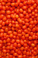 Orange fresh sea buckthorn close-up. water drops on sea buckthorn