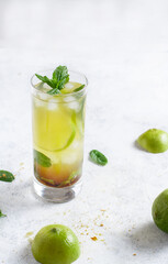 Homemade refreshing mojito cocktail in a tall glass