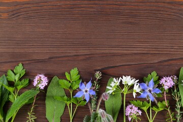 Fototapeta premium Spices and herbs.