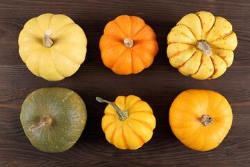 Pumpkins and  squash.