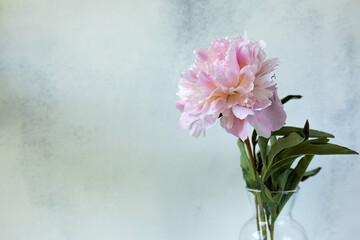 Decorative still life, flower arrangement. Wedding or holiday bouquet of delicate pink peony flowers. shabby white table background. Flat lay, top view. Summer concept. selective focus.