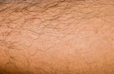Close up right leg that shin hair background.