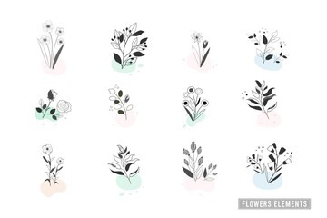 Vector design elements flowers and leaves collection set, hand drawn with herb and flowers, nature background, banner, cover, templates, postcard.