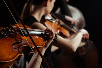 cropped view of female professional musicians playing on violins on dark stage, selective focus