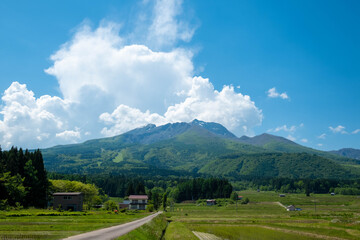 田植え完了