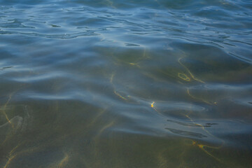 clear blue water at the beach on a summer day, blue ocean and transparent water