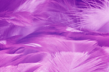 Obraz premium Fioletowe pióro wzór tekstury tła, styl pastelowych kolorów