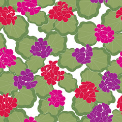 Vector Geranium Flowers in Pink Red Purple with Green Leaves on White Background Seamless Repeat Pattern. Background for textiles, cards, manufacturing, wallpapers, print, gift wrap and scrapbooking.