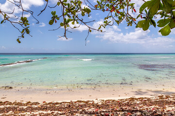 A Tropical Beach View