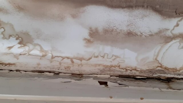 Mold and water damage on the plaster ceiling caused by a leaking roof in need from repair