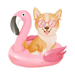 watercolor corgi sitting on Lifebuoy flamingo. Cute illustration on white background isolated. High quality photo