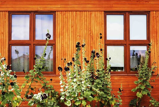 drewniane okno okiennica wooden window