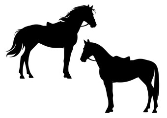 Obraz na płótnie Canvas saddled and bridled horse standing side view ready for riding - equitation black and white vector silhouette outline set