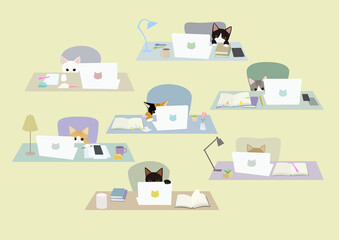 子猫とノートパソコン　子ニャンズ初めてのパソコン初めてのテレワーク