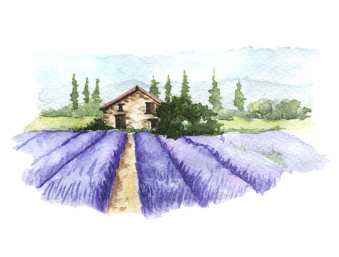 Watercolor landscape of Provence. Hand-drawn Lavender field with rural provencal house in Provence, France. It can be used for card, postcard, cover, invitation.