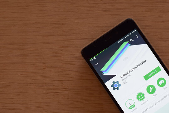 BEKASI, WEST JAVA, INDONESIA. JUNI 1, 2020 : Android System WebView dev app on Smartphone screen. System WebView is a freeware web browser developed by Google LLC