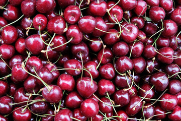 Background a lot of ripe red cherries