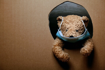 image of toy bear paper background
