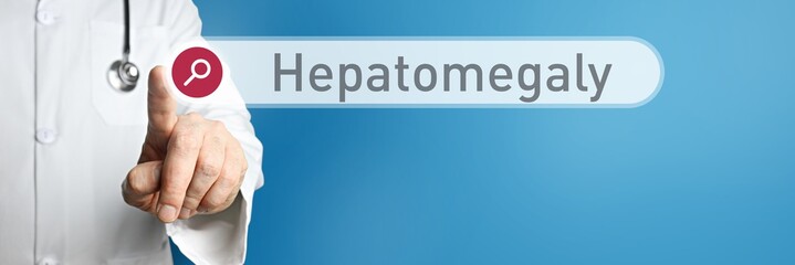 Hepatomegaly. Doctor in smock points with his finger to a search box. The term Hepatomegaly is in focus. Symbol for illness, health, medicine