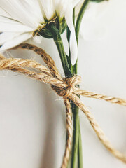 white chrysanthemum tied with twine