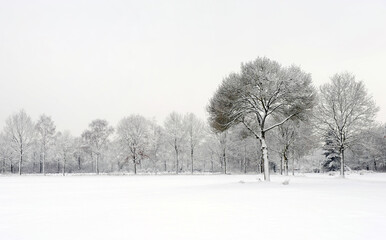 Panorama view of beautiful snow landscape