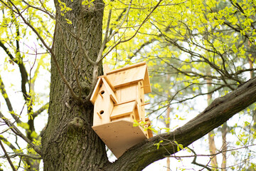 
big wooden birdhouse hanging on a tree in the forest