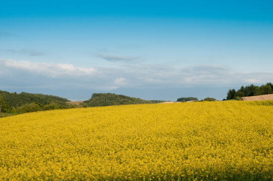 30 Best 北海道の景色images Stock Photos Vectors Adobe Stock