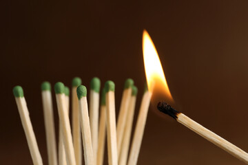 Burning match near unlit ones on brown background, closeup