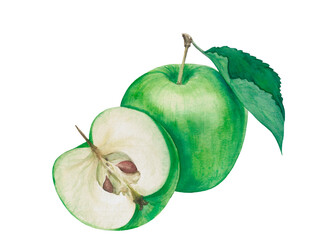 Watercolor green apple. Raster fruit illustration for a cookbook, ingredients of recipes, advertising, cards for children and botanical magazines. Natural and organic agriculture.