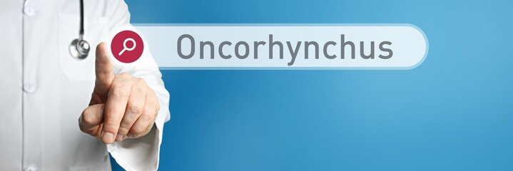 Oncorhynchus. Doctor in smock points with his finger to a search box. The term Oncorhynchus is in focus. Symbol for illness, health, medicine