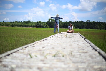 A woman sitting on a wooden bridge in a rice field