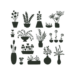 Set of different house plant. Vector silhouette of flowers in pots