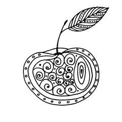 Doodle Sweet apple hand-drawn by a liner, can be used for cards and stickers. Black white apple. Drawing on a white background. Fruits apple doodle.