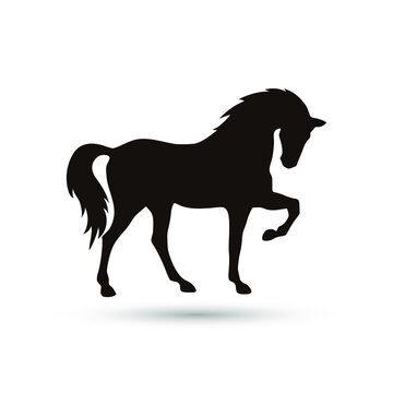 recommend clip art: horse silhouette vector