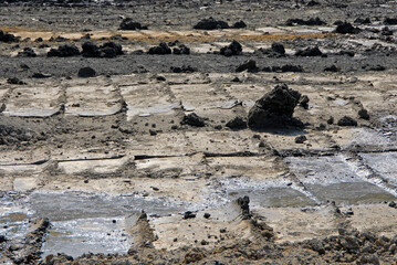  Interesting mud background. Muddy soil texture.