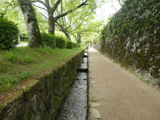 Fototapeta na wymiar path in Japanese shrine