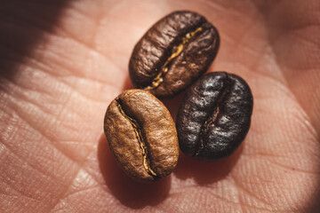 delicious aromatic coffee beans and ground