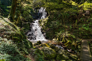 Fototapeta na wymiar Waterfall is in mountain of Fukuoka prefecture, JAPAN