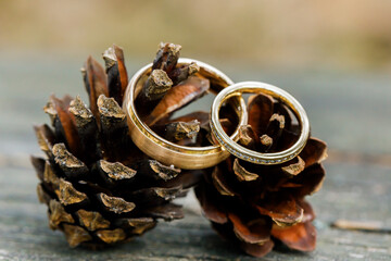 Wedding rings on a leaf. Natural light.