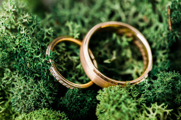 Wedding rings on a leaf. Natural light.