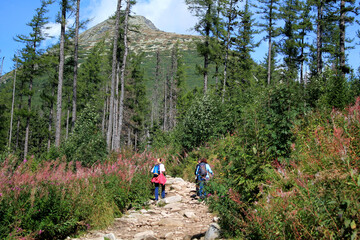 Fototapeta na wymiar Hikers climb a rocky trail up to the top of mountain.