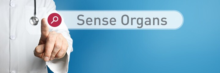 Sense Organs. Doctor in smock points with his finger to a search box. The term Sense Organs is in...