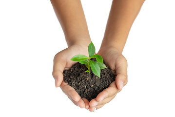 Hand holding young green plant on soil isolated on white. The concept of ecology, environmental protection.