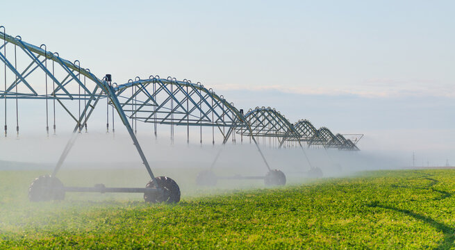 Moved irrigation system on a farmer's field. Field irrigation with a pivot sprinkler system. Watering plants with spray technology. Yield increase.