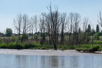 Nature reserve at the waterfalls of Kruibeke. Polder area reclaimed and now used as a flood basin. Antwerp, Belgium