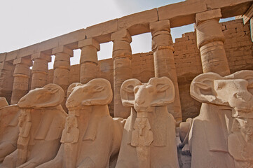 Ram sphinx at ancient egyptian temple in Luxor