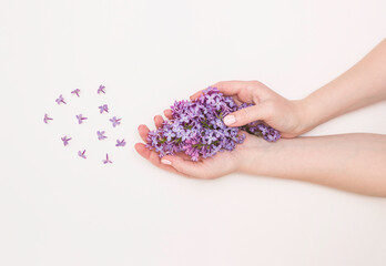 Concept of hand care, anti-wrinkle, anti-aging cream, Spa. Beautiful female hands with lilac flowers on a white background, top view.