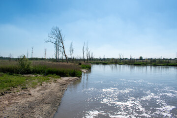 Nature reserve at the waterfalls of Kruibeke. Polder area reclaimed and now used as a flood basin. Antwerp, Belgium
